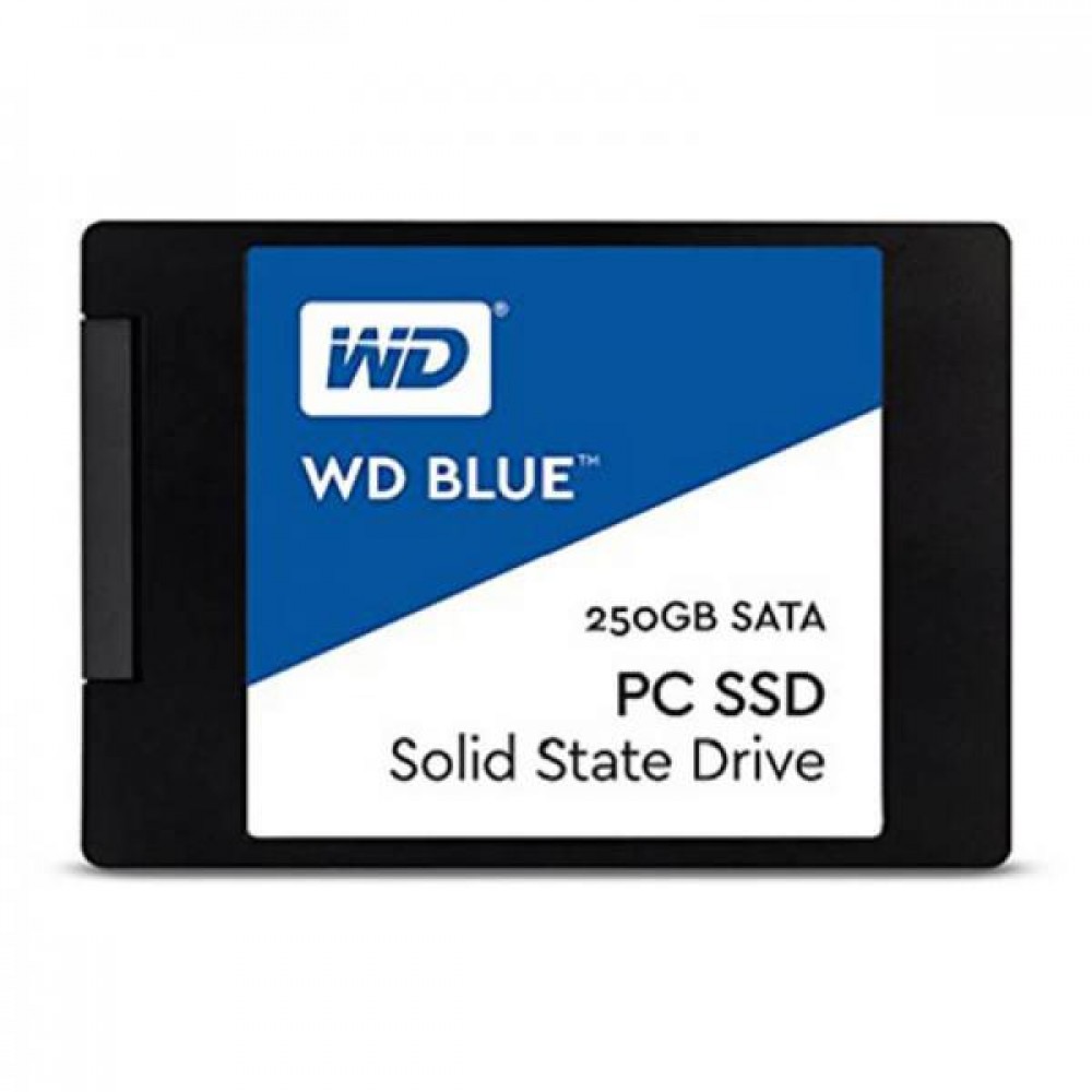 Western Digital 3D NAND WDS250G2B0A 250GB Hard Disk